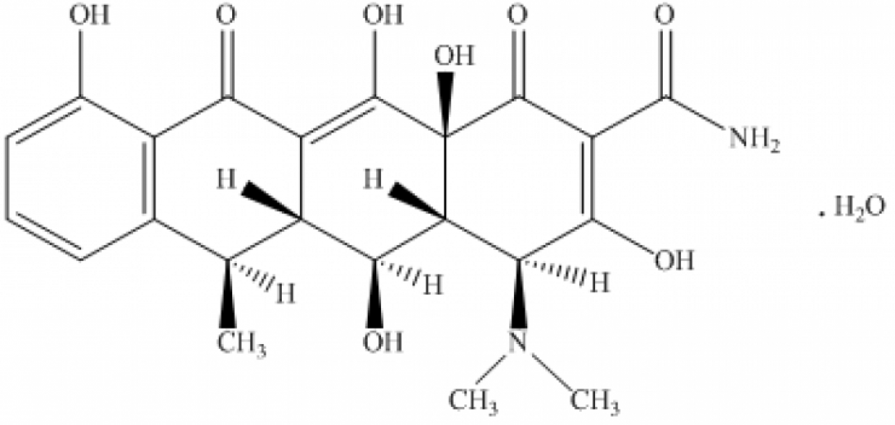 Doxycycline Salts and Amorphous