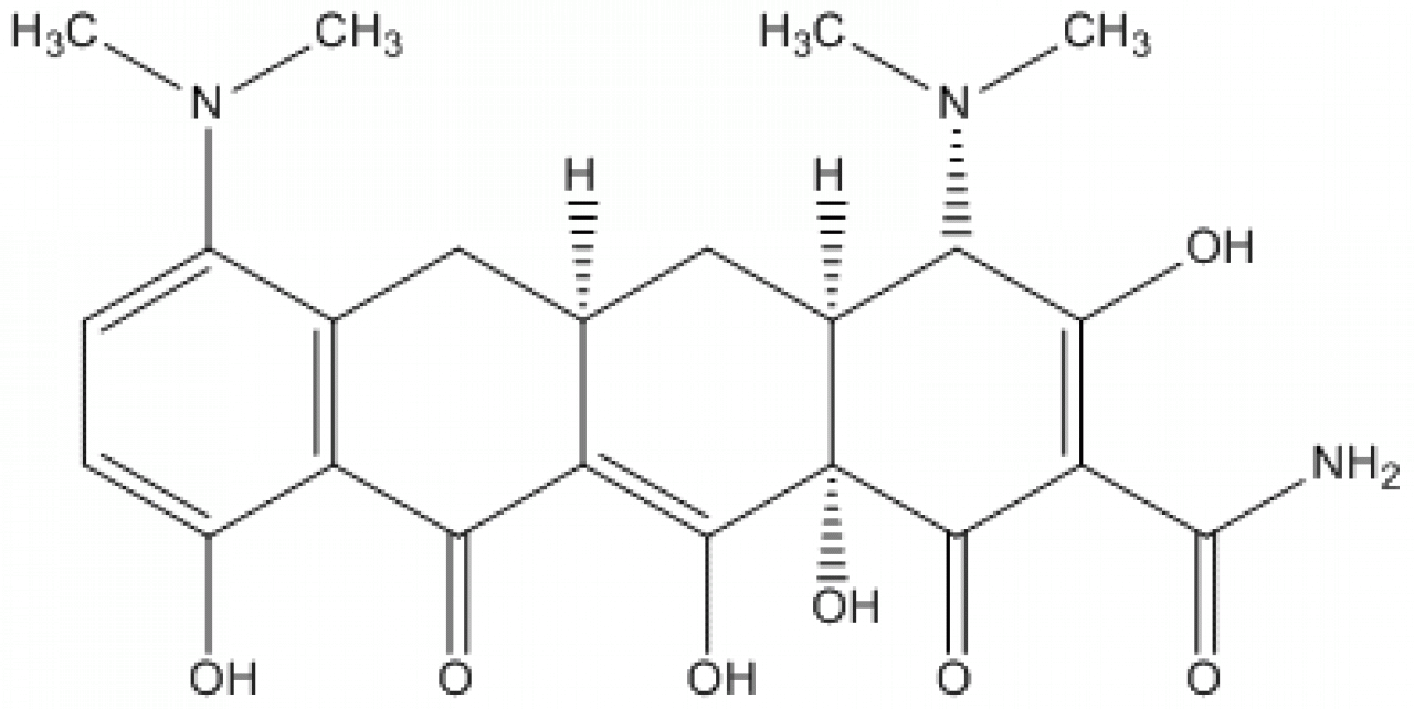 minocycline-base